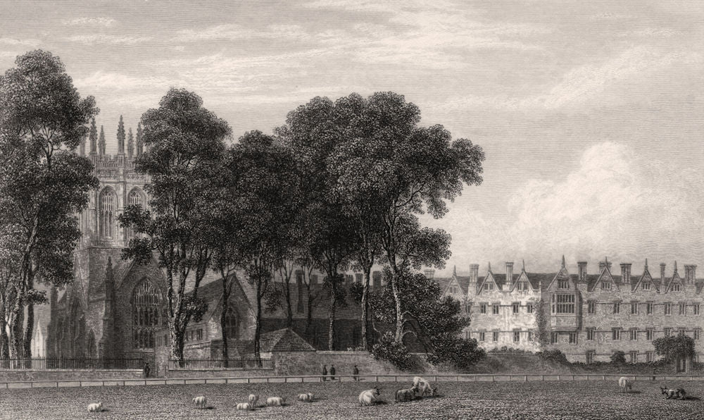 Merton College, from the Fields, Oxford, by John Le Keux 1837 old print